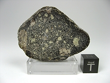 NWA 7007 Lunar Gabbro Breccia Meteorite