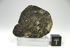 NWA 7007 Lunar Gabbro Breccia Meteorite