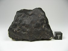 NWA 7030 Anomalous Sanidine-rich LL Metachondritic Breccia Meteorite