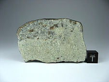 NWA 7030 Anomalous Sanidine-rich LL Metachondritic Breccia Meteorite