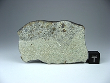 NWA 7030 Anomalous Sanidine-rich LL Metachondritic Breccia Meteorite