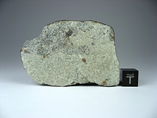 NWA 7030 Anomalous Sanidine-rich LL Metachondritic Breccia Meteorite