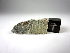 NWA 7030 Anomalous Sanidine-rich LL Metachondritic Breccia Meteorite