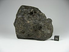 NWA 7035 Diabasic Eucrite Meteorite