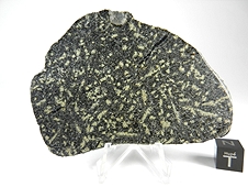 NWA 7035 Diabasic Eucrite Meteorite