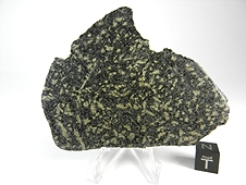 NWA 7035 Diabasic Eucrite Meteorite