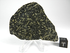 NWA 7035 Diabasic Eucrite Meteorite