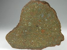 NWA 7194 R4 Rumurutiite Meteorite