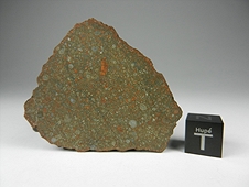 NWA 7194 R4 Rumurutiite Meteorite