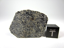 NWA 7272 Microgabbroic Shergottite Meteorite