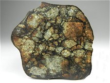 NWA 7273 LL6 Breccia Chondrite Meteorite