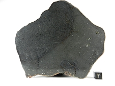 NWA 7319 L5 Melt Breccia Meteorite