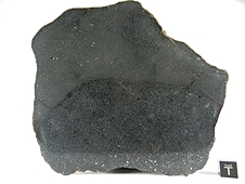 NWA 7319 L5 Melt Breccia Meteorite