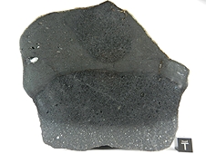 NWA 7319 L5 Melt Breccia Meteorite