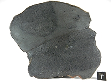 NWA 7319 L5 Melt Breccia Meteorite