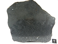 NWA 7319 L5 Melt Breccia Meteorite