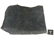NWA 7319 L5 Melt Breccia Meteorite