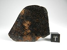 NWA 7474 Lodranite Meteorite