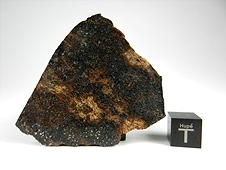 NWA 7474 Lodranite Meteorite