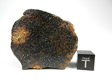 NWA 7474 Lodranite Meteorite