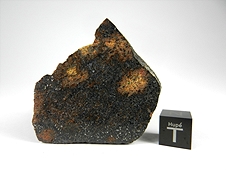 NWA 7474 Lodranite Meteorite