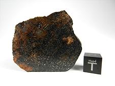 NWA 7474 Lodranite Meteorite