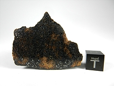 NWA 7474 Lodranite Meteorite