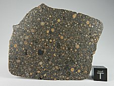 NWA 7502 CR2 Carbonaceous Chondrite