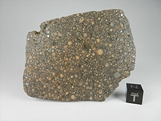 NWA 7502 CR2 Carbonaceous Chondrite