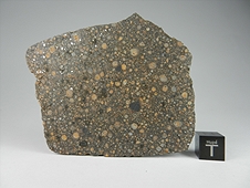 NWA 7502 CR2 Carbonaceous Chondrite