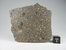 NWA 7502 CR2 Carbonaceous Chondrite