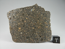 NWA 7502 CR2 Carbonaceous Chondrite