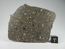 NWA 7502 CR2 Carbonaceous Chondrite