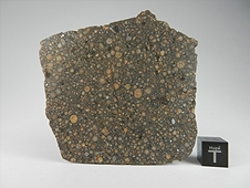 NWA 7502 CR2 Carbonaceous Chondrite