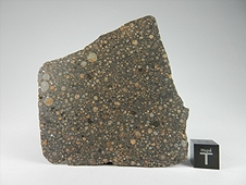 NWA 7502 CR2 Carbonaceous Chondrite