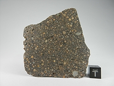 NWA 7502 CR2 Carbonaceous Chondrite