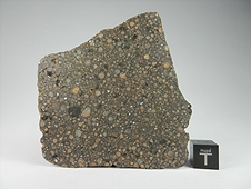 NWA 7502 CR2 Carbonaceous Chondrite