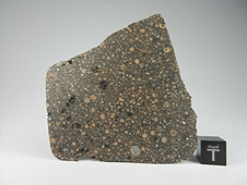 NWA 7502 CR2 Carbonaceous Chondrite