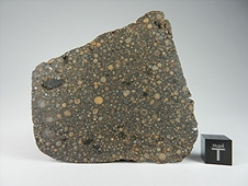 NWA 7502 CR2 Carbonaceous Chondrite