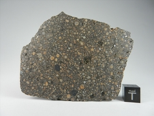 NWA 7502 CR2 Carbonaceous Chondrite
