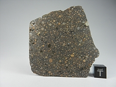 NWA 7502 CR2 Carbonaceous Chondrite