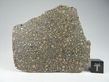 NWA 7502 CR2 Carbonaceous Chondrite