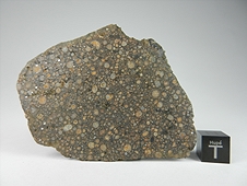 NWA 7502 CR2 Carbonaceous Chondrite