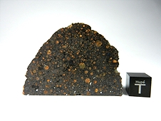 NWA 7502 CR2 Carbonaceous Chondrite