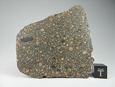 NWA 7502 CR2 Carbonaceous Chondrite