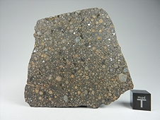 NWA 7502 CR2 Carbonaceous Chondrite