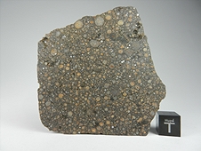 NWA 7502 CR2 Carbonaceous Chondrite