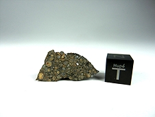 NWA 7502 CR2 Carbonaceous Chondrite