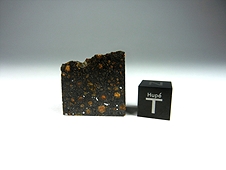 NWA 7502 CR2 Carbonaceous Chondrite