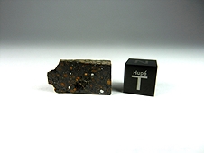 NWA 7502 CR2 Carbonaceous Chondrite